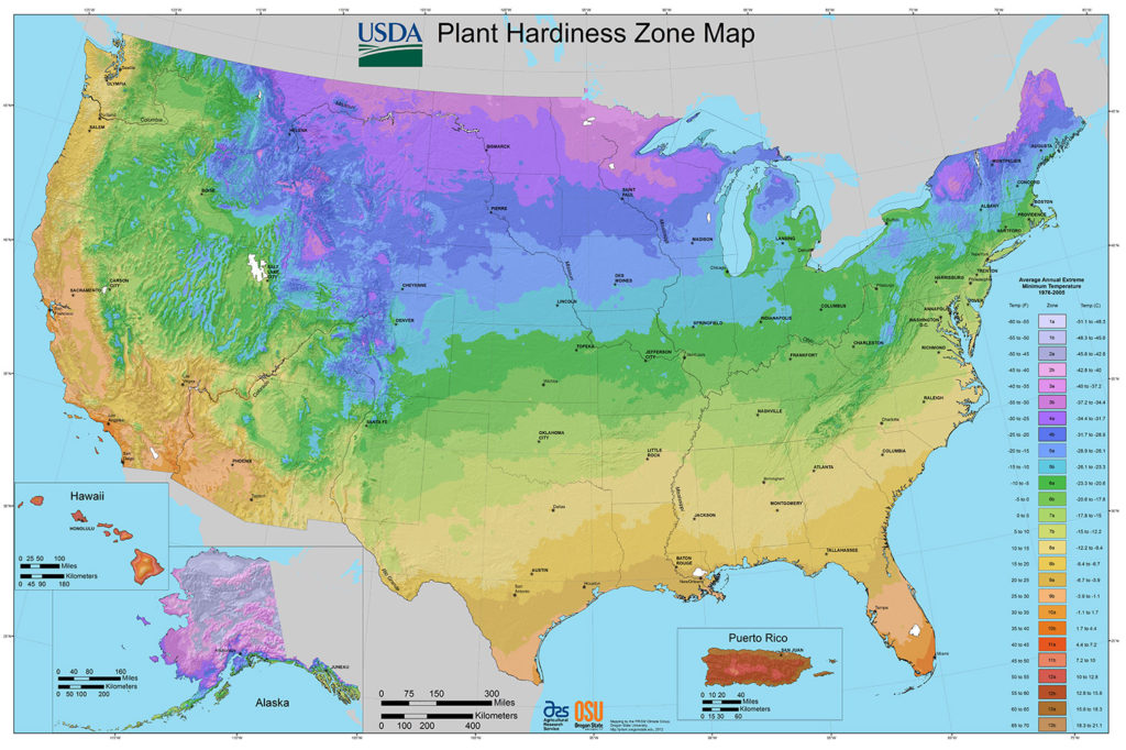 Plant Hardiness Zone Map - USDA Gov Download